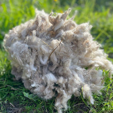 Ladda upp bild till gallerivisning, Trädgårdsull